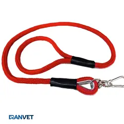 لید/ لیش سگ مدل بردر