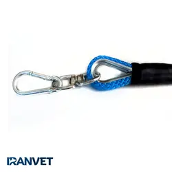 لید قلاده سگ مدل بیگل 10