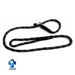 لید آموزشی سگ مدل پودل