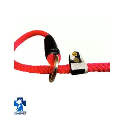 لید آموزشی سگ مدل پودل