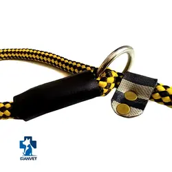 لید آموزشی سگ مدل پودل