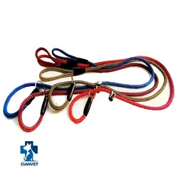 لید آموزشی سگ مدل پودل