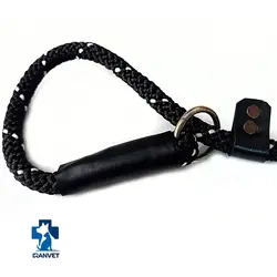 لید آموزشی سگ مدل پودل