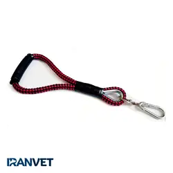 لید قلاده همراه سگ مدل کولی