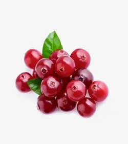 گیلاس گلخانه ای