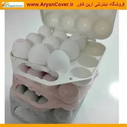 جا تخمرغی سفری + فیلم