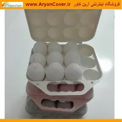 جا تخمرغی سفری + فیلم