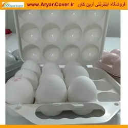 جا تخمرغی سفری + فیلم