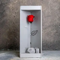 گل رز جاودان - فروشگاه اینترنتی رابین لند | قیمت خرید کادو-هدیه-دخترانه-برای همسر-دختر-پسر-ولنتاین-سازمانی