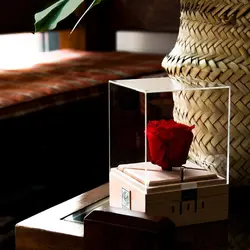 گل رز جاودان موزیکال مدل کوکی ملودی Romeo & Juliet - فروشگاه اینترنتی رابین لند | قیمت خرید کادو-هدیه-دخترانه-برای همسر-دختر-پسر-ولنتاین-سازمانی