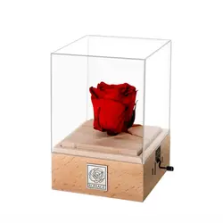 گل رز جاودان موزیکال مدل هندلی ملودی Romeo & Juliet - فروشگاه اینترنتی رابین لند | قیمت خرید کادو-هدیه-دخترانه-برای همسر-دختر-پسر-ولنتاین-سازمانی