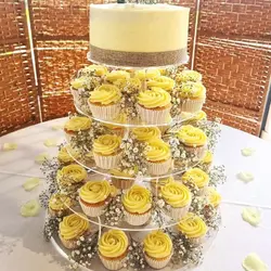 صفحه پلکسی قطر 14، ارسال رایگان، پرداخت در محل - فروشگاه ایران کوک