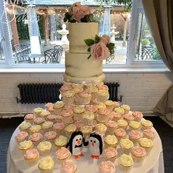 صفحه پلکسی قطر 27، ارسال رایگان، پرداخت در محل - فروشگاه ایران کوک