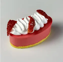 قالب میگنوپورشن بیضی - فروشگاه ایران کوک