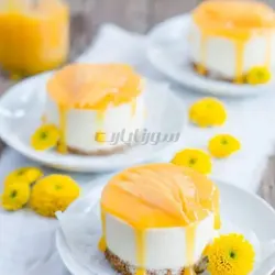 قالب میگنوپورشن دایره - فروشگاه ایران کوک