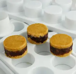 قالب میگنوپورشن دایره - فروشگاه ایران کوک