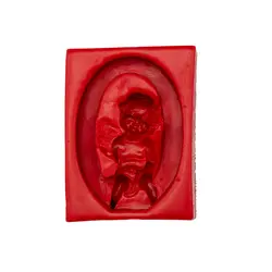 ملد حروف O فرشته دار، ارسال رایگان، پرداخت در محل - فروشگاه ایران کوک