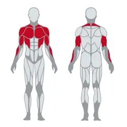 دستگاه پرس سینه نشسته همگرا برند پاناتا مدل 1SC034