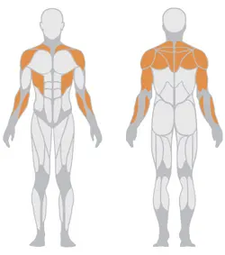 نیمکت سرشانه کمکی مدل  1HP207B برند پاناتا