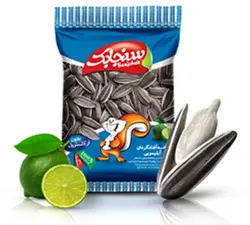 انواع تخمه های سنجابک با طعم های مختلف