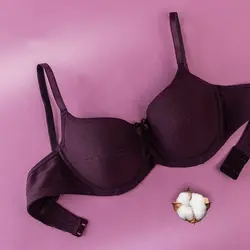 سوتین اسفنجی ( اسفنج نازک - طرح سوتین ونا ) 8067 رنگ بنفش