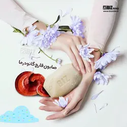 صابون قارچ گانودرما دکتر بیز