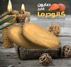 صابون قارچ گانودرما دکتر بیز