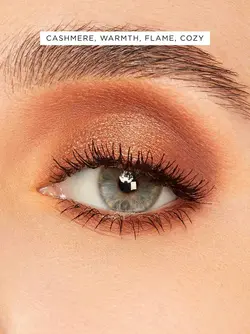 پلت سایه تارت تارت لت تستد ۱۲رنگ  TARTE TARTELETTE  TOASTED EYESHADOW  PALETTE