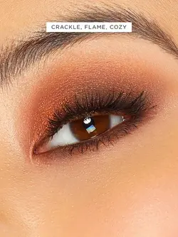 پلت سایه تارت تارت لت تستد ۱۲رنگ  TARTE TARTELETTE  TOASTED EYESHADOW  PALETTE