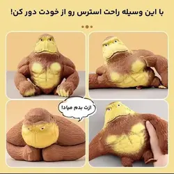 فیجت اقا مرتضی