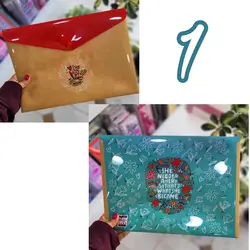 پوشه دکمه دار فانتزی پاپکو