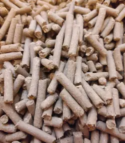 ووداستیک بستر مناسب خرگوش خوکچه ،وود استیک