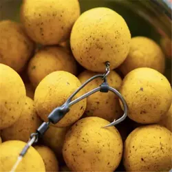 کیکر دی ریگ