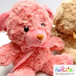 عروسک پولیش - خرس راس 25 سانت (دارای رنگبندی)