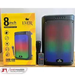 اسپیکر قابل حمل مدل EVER-830