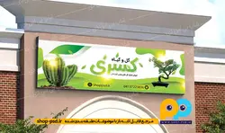 بنر لایه باز کاکتوس