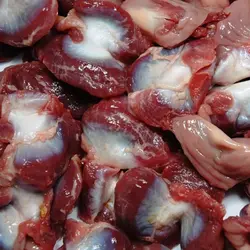 سنگدان مرغ