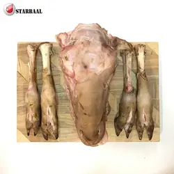 کله پاچه گوسفندی