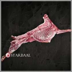 شقه گوسفندی