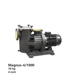 پمپ تصفیه استخر SACI مدل Magnus-4/1000