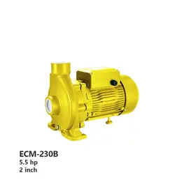پمپ جت جکوزی سانتریفیوژ آکوا استرانگ مدل ECM-230B