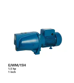 پمپ آب سانتریفیوژ آکوا استرانگ مدل EJWM/15H