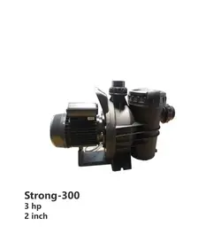 پمپ استخر مستر پول (Mr.Pool) مدل Strong-300