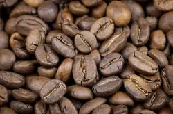 قهوه میکس روبوستا