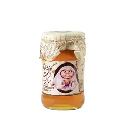 عسل گشنیز گلی نوش (860 گرم)