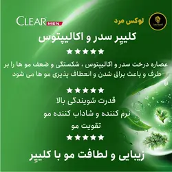 شامپو کلییِر (CLEAR) مردانه مدل سدر و اکالیپتوس (GÜNLÜK ARINMA VE FERAHLIK) اورجینال ترکیه