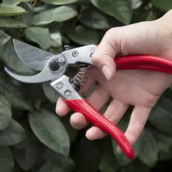 فروش قیچی باغبانی اصل ژاپن آرس v8 با بهترین کیفیت خرید هرس ارس