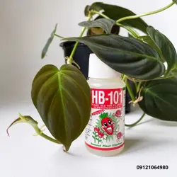 قیمت فروش قطره جادویی ژاپن HB 101 کود و هورمون رشد ارگانیک 50 سی سی