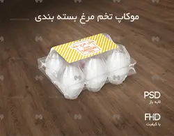 موکاپ بسته بندی تخم مرغ شش عددی