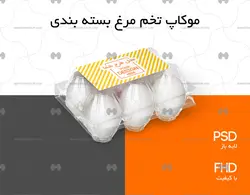 موکاپ بسته بندی تخم مرغ شش عددی